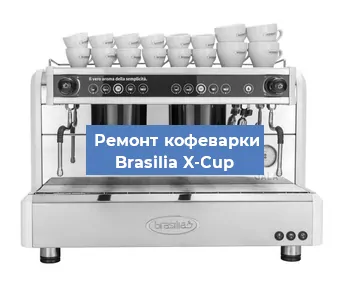 Ремонт капучинатора на кофемашине Brasilia X-Cup в Новосибирске